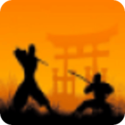 武术风格