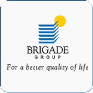 Brigade Projects eVisit