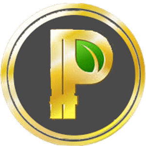 Peer coin