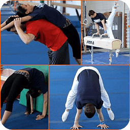 Free Gymnastics Lesson