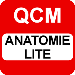 Qcm anatomie lite PACES ...