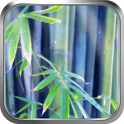 翠竹1-绿豆动态壁纸