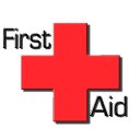 Health Guide: FirstAid Lite