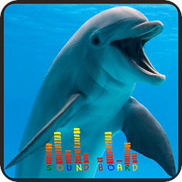 Dolphin Soundboards