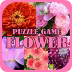 PUZZLE GAME FLOWER