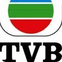 TVB台庆万千星辉颁奖礼