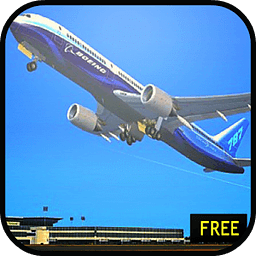 Flight Simulator : Top