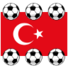 世界杯土耳其2013