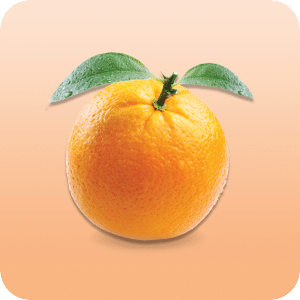 大橙报Big Orange Media