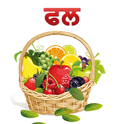 Fruits in Punjabi on Tab