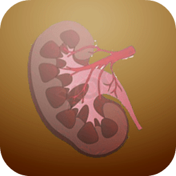 Kidney stone remedy info