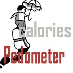 卡路里计步器 calorie pedometer