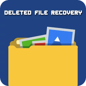 Deleted File Recovery