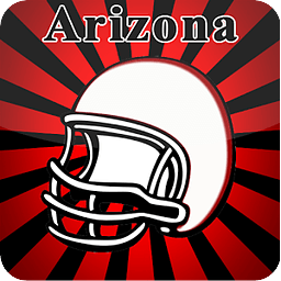 Arizona Football Fan