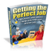 How To Get The Perfect Job 1.0