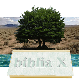 bible reading