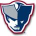 Somerset Patriots