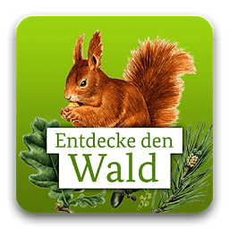 Die kleine Waldfibel