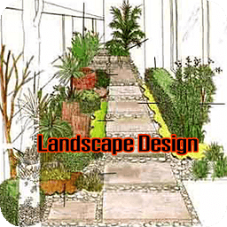 landscape design drawing