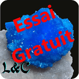 Litho And Co