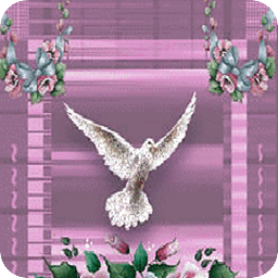 Beautiful Glitter Dove L...