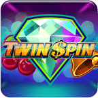 Twin Spin