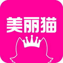 美丽猫