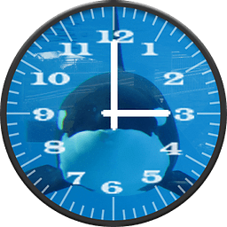 Killer Whale 1 Analog Clock