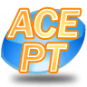 ACE PT Musculoskeletal E...