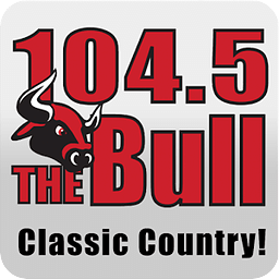 1045 The Bull