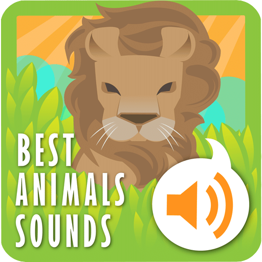 最佳动物声音