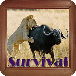 Survival