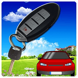 Car Security Key