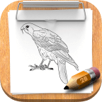 HowToDraw Birds