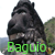 Baguio City App