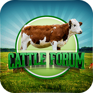 Cattle Forum