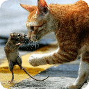 唯美意境4D摄影欣赏