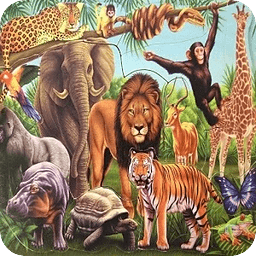 Educational ZOO