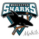 Worcester Sharks