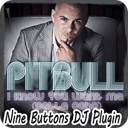 Pitbull-I know you...[NbDJ Plu