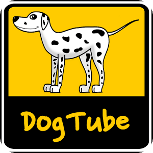 DogTube - 最好的100品种的小狗