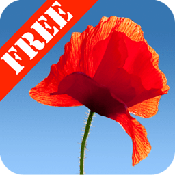 Poppy Field FREE