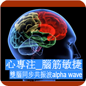 雙腦同步共振波 Alpha Wave