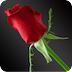 Flowers Astrology
