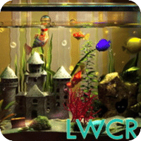 Aquarium Live Wallpaper