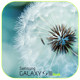 Galaxy S3 iLock