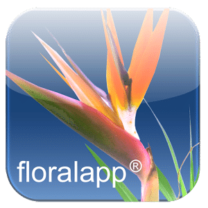 floralapp stargazer