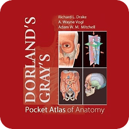 Pocket Atlas of Anatomy TR