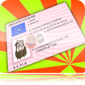 Driver License Generator