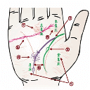 掌纹诊病疗法